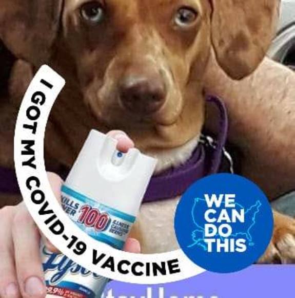 Meet your Posher, Karen brophy - Picture 1 of 1